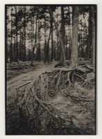agfamcc111_se520201000_04.jpg